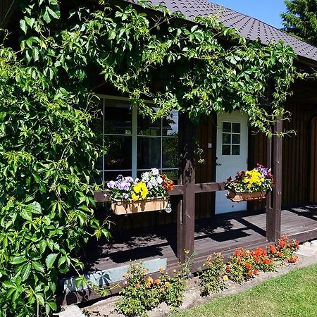 Kelluka Holiday House Pärispea المظهر الخارجي الصورة