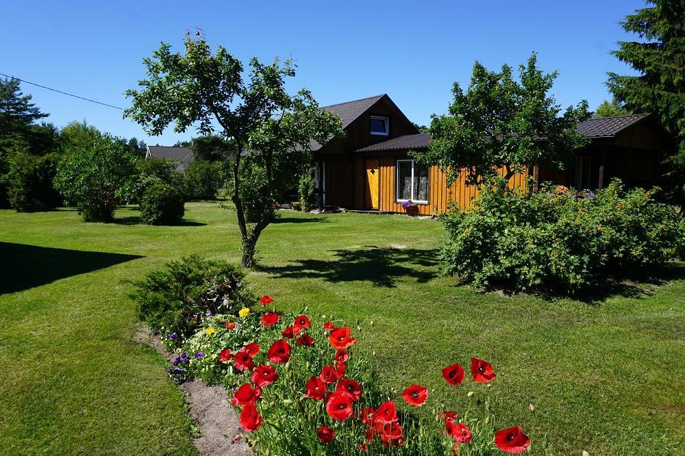 Kelluka Holiday House Pärispea المظهر الخارجي الصورة