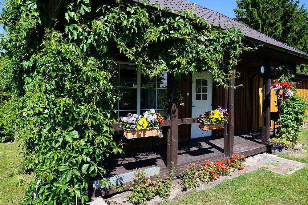 Kelluka Holiday House Pärispea المظهر الخارجي الصورة